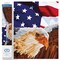 Diamond Dotz Bald Eagle & Flag Diamond Painting Kits for Adults - Diamond Art Kits a Relaxing Creative Craft Kit with Dotz Gems 22x28